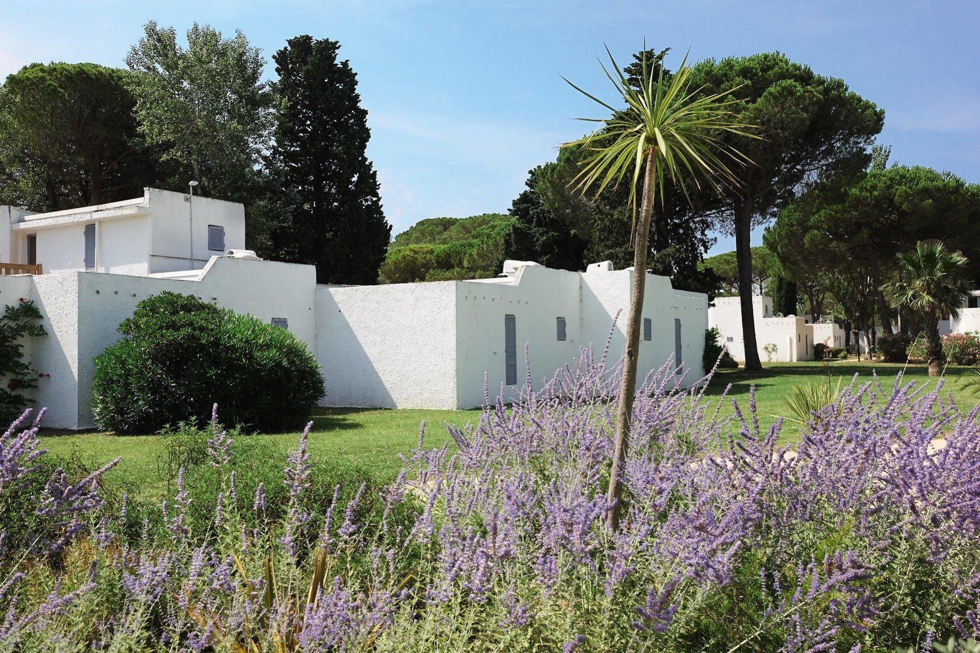 Belambra Clubs Residence La Grande Motte - Petite Camargue Presqu'Ile Du Ponant Kültér fotó